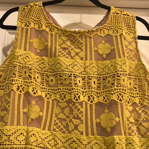 Chelsea28 Embroidered Fit and Flare yellow dress - Picture 3 of 4